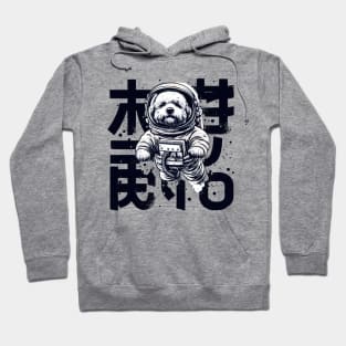 Dog astronaut Hoodie